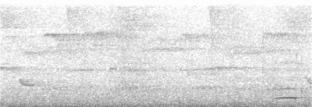 Short-tailed Antthrush - ML383315281