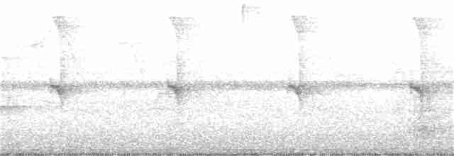 Белогузый колибри - ML383472851
