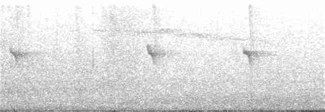 Colibri de Buffon - ML383475101