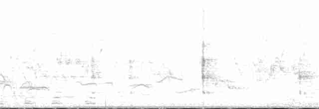 Шлемоносная цесарка (Одомашенного типа) - ML383496301