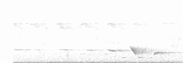 Russet-tailed Thrush - ML383520301