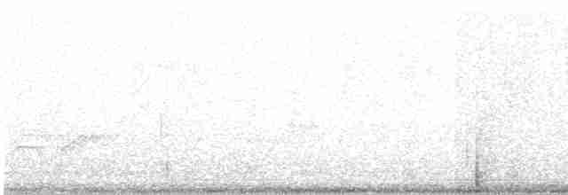 Greenish Warbler - ML383522301