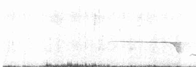 Russet-tailed Thrush - ML383535451