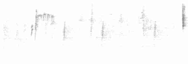 Orite buissonnière (groupe melanotis) - ML383624491