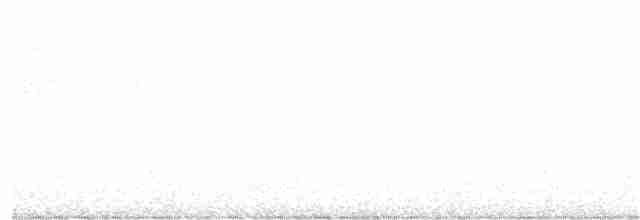 Tinamou à pieds rouges - ML383636471