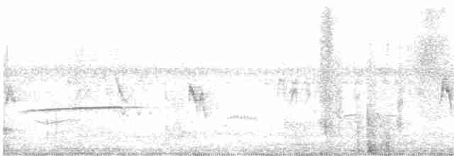 Southern Beardless-Tyrannulet - ML383728771
