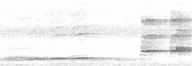 Pasifik Koeli (cyanocephalus/subcyanocephalus) - ML383750671