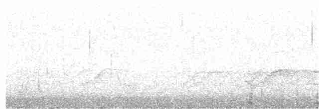 Grand Cormoran (forme à poitrine sombre) - ML383809781