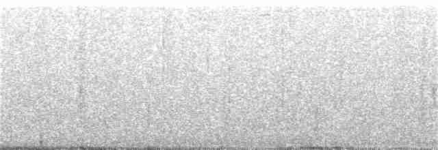 Weißbartspelzer - ML383818881