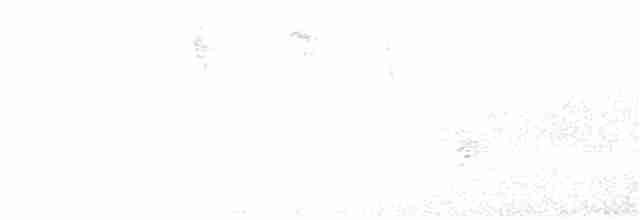 Дрізд-короткодзьоб плямистоволий - ML383843771