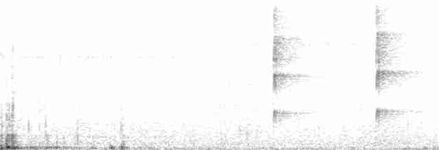 Шлемоносная чубатка - ML383860661
