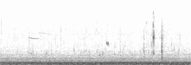Snowy Plover - ML383869081