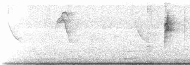 Гиацинтовая гуирака - ML384104001