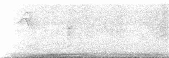 Белокурый дятел-гренадер - ML384115241