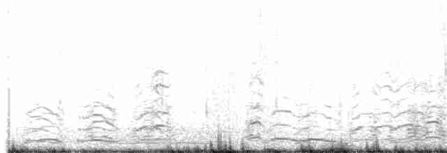 Cygne siffleur - ML384178711