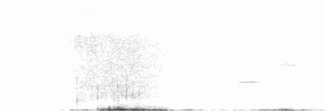 Striped Cuckoo - ML384215531