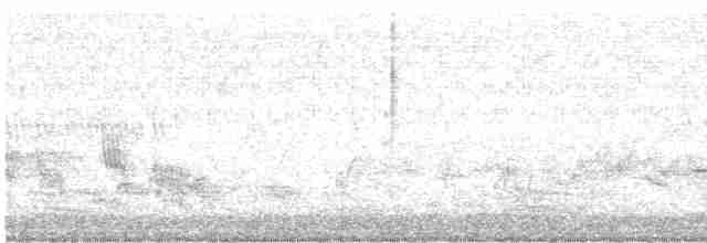 Spotless Crake - ML384232361