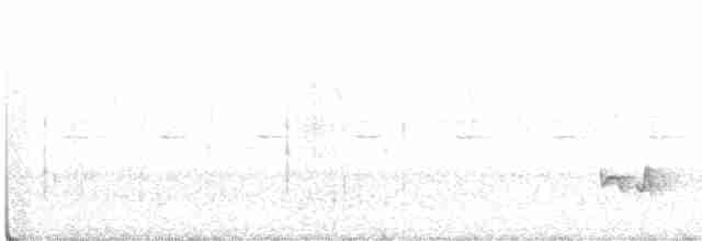 Northern White-fringed Antwren - ML384256531