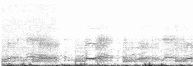 White-breasted Waterhen - ML38431421