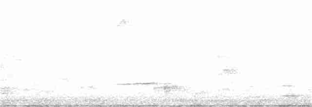 Розела білогорла - ML384334711