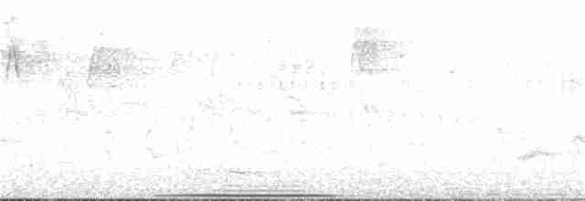 holub bronzovokřídlý - ML384359021