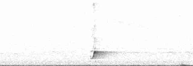 Kısa Kuyruklu Karıncaardıcı - ML384488991