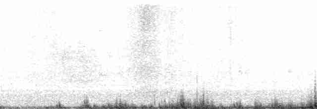 Plectrophane des neiges - ML384760691
