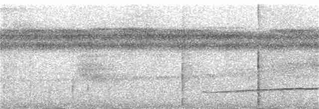Тиран-плоскодзьоб рудохвостий - ML384833631