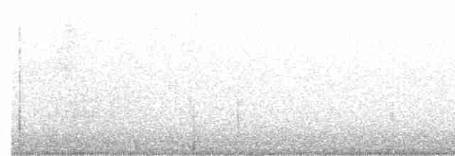 Black-throated Green Warbler - ML384844471