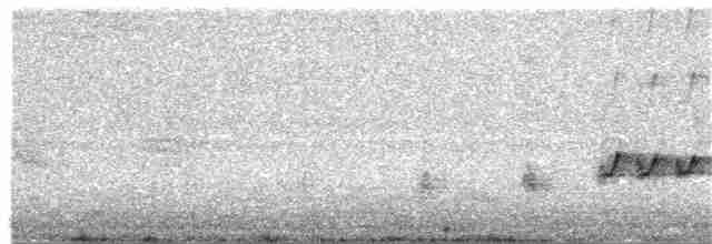 Australian Reed Warbler - ML384890301