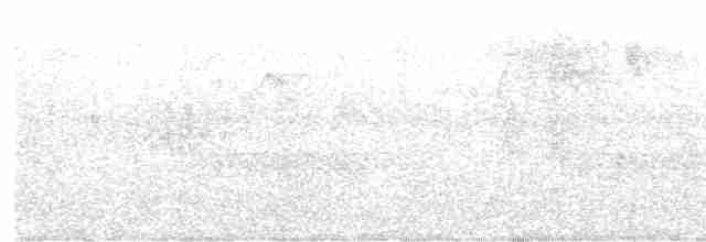 Cinereous Tinamou - ML385030611