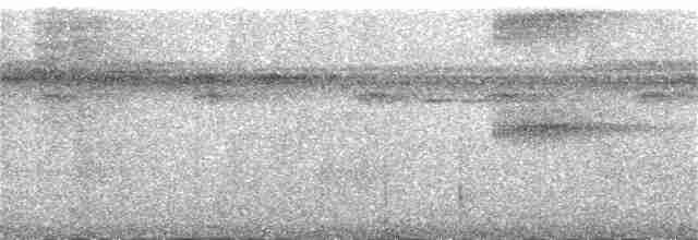 Kısa Kuyruklu Küçük Tiran - ML385049551