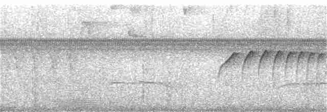 Тиран-карлик амазонійський - ML385049881