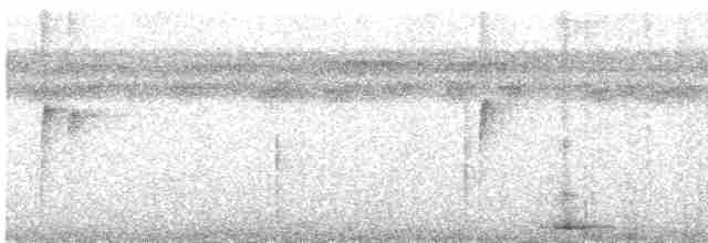 Прямоклювый колибри-отшельник - ML385050061