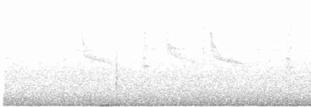 Swinhoe's White-eye - ML385054481