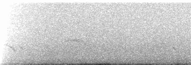 Long-tailed Cinclodes (Cipo) - ML385081851