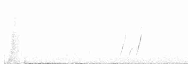 Curve-billed Thrasher - ML385115321