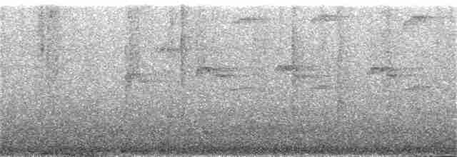 Прямоклювый колибри-отшельник - ML385159711