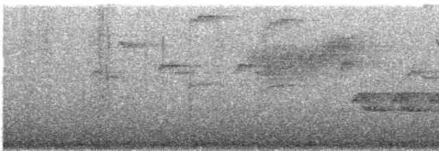 Прямоклювый колибри-отшельник - ML385159721