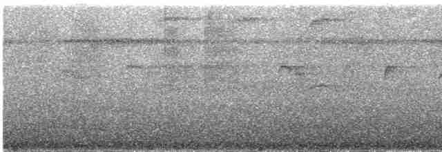 Прямоклювый колибри-отшельник - ML385159741