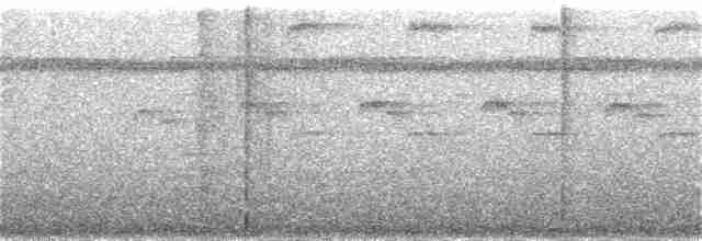 Прямоклювый колибри-отшельник - ML385159791
