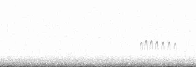 Plectrophane des neiges - ML385219491