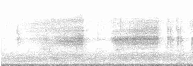 Oriole Blackbird - ML385221761