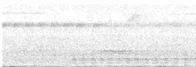 Slaty-tailed Trogon - ML385235871