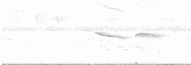 Ruddy-tailed Flycatcher - ML385247041
