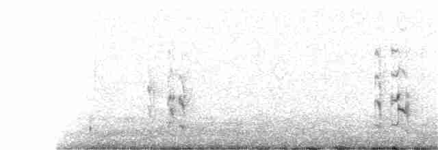 ארנריה אדמונית - ML385320001