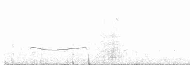 Black-bellied Plover - ML385343341