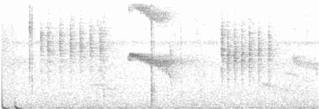 Halsband-Ameisenvogel - ML385373001