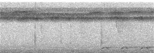 Black-tailed Trogon - ML385434031