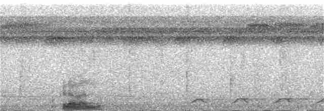 Black-tailed Trogon - ML385434111